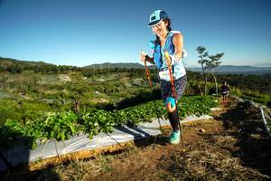 BIB: 9783, 
                            <button type="button" onclick="openModal(19118152)" class="btn btn-primary btn-sm float-right btn-popup" data-toggle="modal" data-target=".modal-high-quality">
                        <i class="fas fa-shopping-cart"></i> Add to Cart
                    </button>
                                            <button type="button" onclick="isThisMe(19118152, true)" class="btn btn-success btn-sm float-right btn-popup btn-isme hidden" data-toggle="tooltip" data-placement="bottom" title="นี่คือรูปของคุณใช่ไหม คลิกที่นี่เพื่อเอาเข้าอัลบั้ม">
                        <i class="fas fa-plus"></i> Add to album
                    </button>
                    <button type="button" onclick="isThisMe(19118152, false)" class="btn btn-warning btn-sm float-right btn-popup btn-isnotme hidden">
                        <i class="fas fa-ban"></i> Remove from album
                    </button>